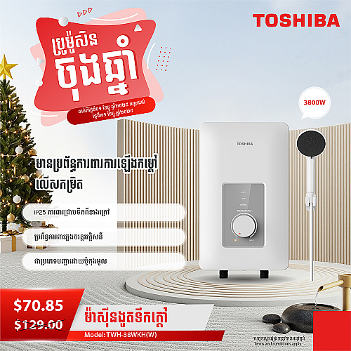 Toshiba Electric Water Heater (3800W,No Pump)